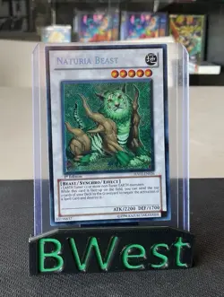 Naturia Beast NM 1st Edition Hidden Arsenal 2 Secret Rare HA02-EN026 Yugioh - Image 1