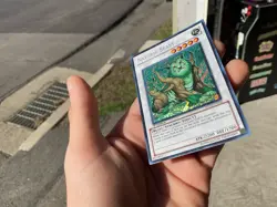 Naturia Beast NM 1st Edition Hidden Arsenal 2 Secret Rare HA02-EN026 Yugioh - Image 4