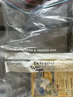 Mega Bundle of Ex Era Pokemon Cards X300plus Cards Bulk Lot - Image 4