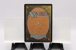 North Wind Avatar Teenage Mutant Ninja Turtles Regular - Image 2