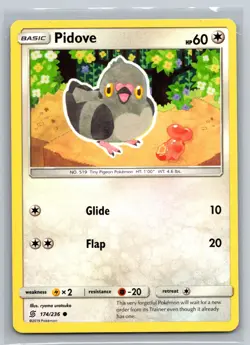 Pidove 174/236 Unified Minds Pokemon TCG Colorless Tiny Pigeon Basic Card - Image 1