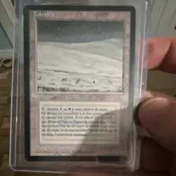 Magic: The Gathering Tundra Land Blue White French 1994 Wizards Jesper Myrfors - Image 1