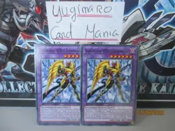 Yu-Gi-Oh! [SD] Darkbright, HEROS Elementaire : C SGX1-FRA25 x2 - Image 1
