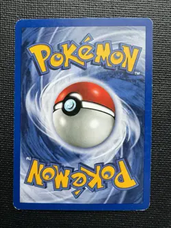 Pikachu Black Star Promo #26 Pokemon Snap Photo Pikachu WOTC 2001 LP - Image 3