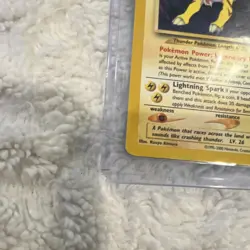 Pokemon Raikou 60 HP Neo Revelation 22/64 Rare Basic 2000 Pokemon TCG - Image 2