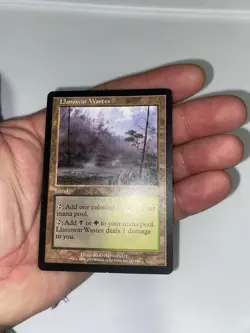 Wizards of the Coast Llanowar Wastes 141 Apocalypse Land Rare Regular - Image 3
