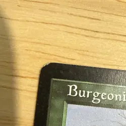 Magic the Gathering Burgeoning - Stronghold #102/143 MTG LP - Image 3