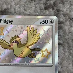 Pidgey 196/091 SV: Paldean Fates Shiny Rare Holo Pokemon TCG 2024 NM - Image 3