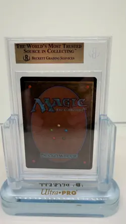 1993 Magic: The Gathering - Limited Edition Beta Evil Presence BGS 9.5 - MTG - Image 2