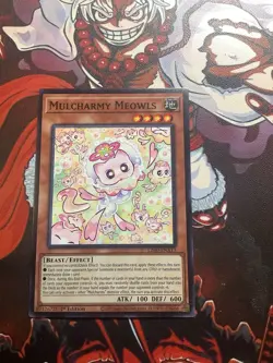 YuGiOh TCG- Mulcharmy Meowls Common- L26D-ENX13 NM - Image 1