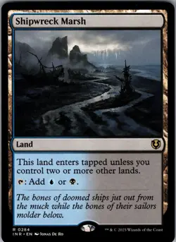 Shipwreck Marsh 284 - Innistrad Remastered NM - Magic: The Gathering TCG - Image 1