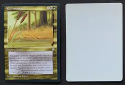 SIGNED MtG Magic D Willich Artist Proof _ Spanish Ice Age _ RECLAMATION _ 1/100! - Image 1