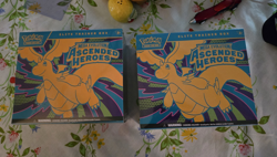 Pokemon Mega Evolution Ascended Heroes Elite Trainer Box Dragonite Zekrom - Image 1