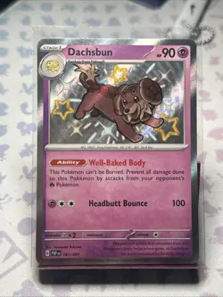 Pokemon TCG Shiny Dachsbun Holo Rare Card 161/091 Paldean Fates NM - Image 1