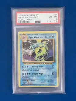 2016 Pokemon XY Gyarados Holo Evolutions #34 PSA 8 - Image 1