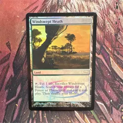 Magic: The Gathering Windswept Heath Judge Promos Foil Promo Land MTG - Image 1