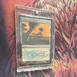 Magic: The Gathering Windswept Heath Judge Promos Foil Promo Land MTG - Image 3