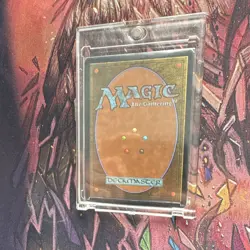 Magic: The Gathering Windswept Heath Judge Promos Foil Promo Land MTG - Image 4