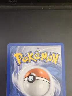 Pokemon TCG - Squirtle 039 Me: Mega Evolution Promo Holo - Image 4