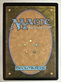 MTG / Hallowed Fountain / ECL / #265 / Regular / Rare / NM - Image 2