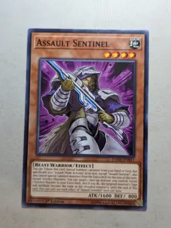 Yu-Gi-Oh Assault Sentinel (DANE-EN011) Common - Image 1