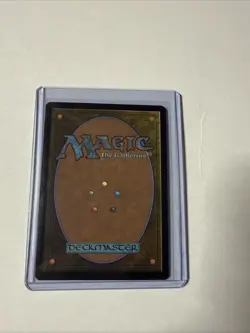 MTG Splinter of the Shadows - Ashcoat of the Shadow Swarm (Borderless) TMNT REG - Image 2