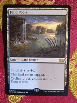 Fetid Pools Tarkir Dragonstorm COMMANDER Magic The Gathering MTG Cycling land - Image 1