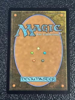 MTG: Turbulent Steppe - Commander: Secrets of Strixhaven (Extended Art) NM - Image 2