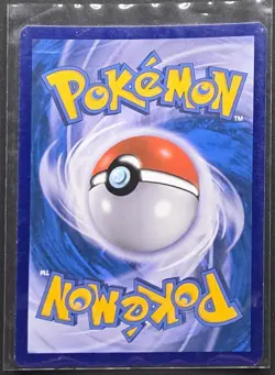 Braixen XY161 Black Star Promo Holo Rare Pokemon 2014 - Image 2