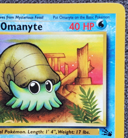 1st Edition Omanyte - Fossil - #52/62 - Vintage Pokemon Card 1999 WOTC - Image 3