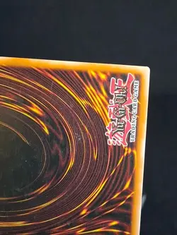 Yu-Gi-Oh TCG Duelist Pack Yugi #DPYG-EN010 Sorcerer of Dark Magic - Image 4