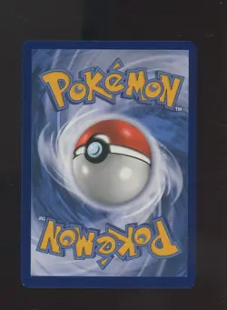 Pokemon Charizard V SWSH260 Black Star Promo Card 2022 Sword and Shield Holo - Image 2