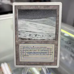 Tundra #289 Magic Revised Dual Land HP - Image 1