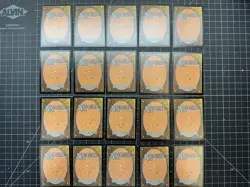 Magic the Gathering Swamp Graveborn Foil Lot of 20 MP - Image 2