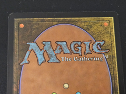 1x MTG Auntie's Hovel-Lorwyn Rare Land Magic the Gathering LP - Image 5