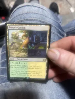 Temple Garden Lorwyn Eclipsed Regular - Image 1