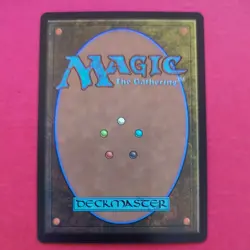 MTG Magic the Gathering Sacred Foundry (256) Edge of Eternities LP - Image 2