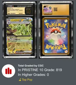 Tyranitar ex 032/108 Sv3: Ruler of the Black Flame Holo PRISTINE 10! Pokemon - Image 3