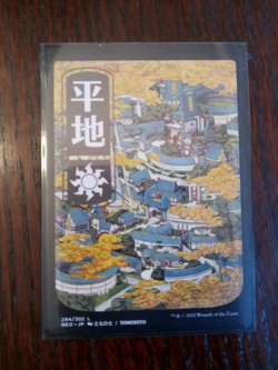 MTG Plains x2 (294) JP Full Art Kamigawa: Neon Dynasty Magic Card Land NM - Image 1