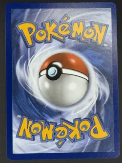 Squirtle - 039 039 P ME: Mega Evolution Promo Pokemon - Image 2