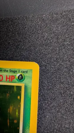 Vileplume - Jungle Holo Rare 15/64 - Pokemon TCG (Vintage WOTC) - LP/MP - Image 5