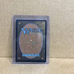 Raph & Leo, Sibling Rivals (Showcase) Teenage Mutant Ninja Turtles Regular - Image 2