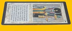 MTG BALANCE Beta (OldManMTG 012-193) - Image 4
