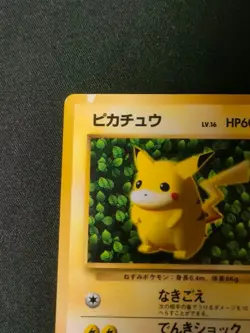 Pokemon Ivy Pikachu CoroCoro Promo Glossy Ken Sugimori Error Japanese LP - Image 2