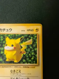 Pokemon Ivy Pikachu CoroCoro Promo Glossy Ken Sugimori Error Japanese LP - Image 3