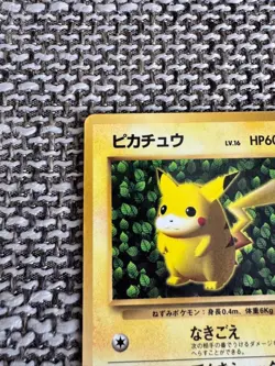 Pokemon Ivy Pikachu CoroCoro Promo Glossy Ken Sugimori Error Japanese LP - Image 2