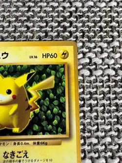 Pokemon Ivy Pikachu CoroCoro Promo Glossy Ken Sugimori Error Japanese LP - Image 3