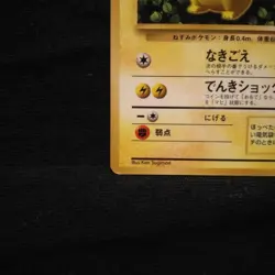 Pokemon Ivy Pikachu CoroCoro Promo Glossy Ken Sugimori Error Japanese LP - Image 4