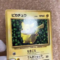 Pokemon Ivy Pikachu CoroCoro Promo Glossy Ken Sugimori Error Japanese LP - Image 2