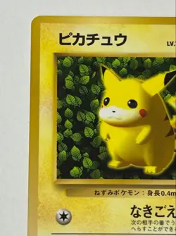 Pokemon Ivy Pikachu CoroCoro Promo Glossy Ken Sugimori Error Japanese LP - Image 3